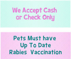 we only accept cash or check
